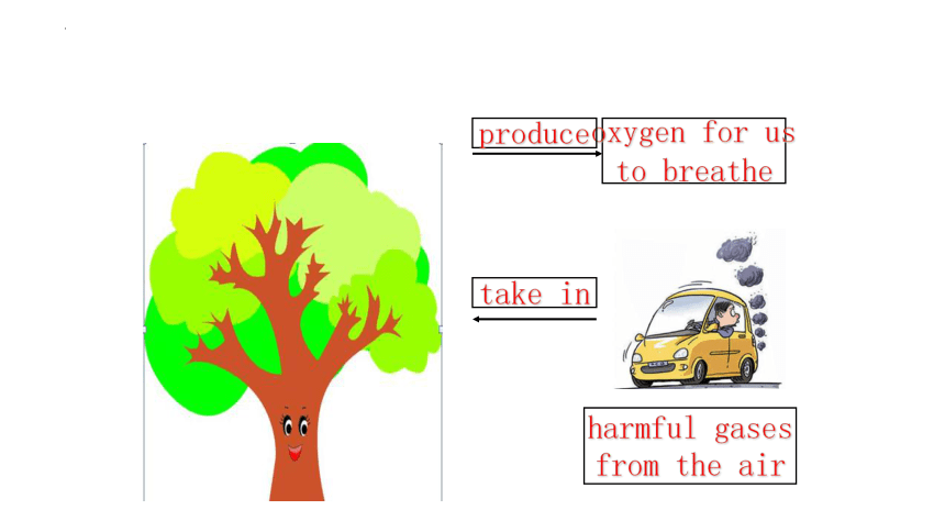 Unit 4 Save the trees. Reading课件(共26张PPT，内嵌音频)2022-2023学年牛津深圳版英语七年级下册