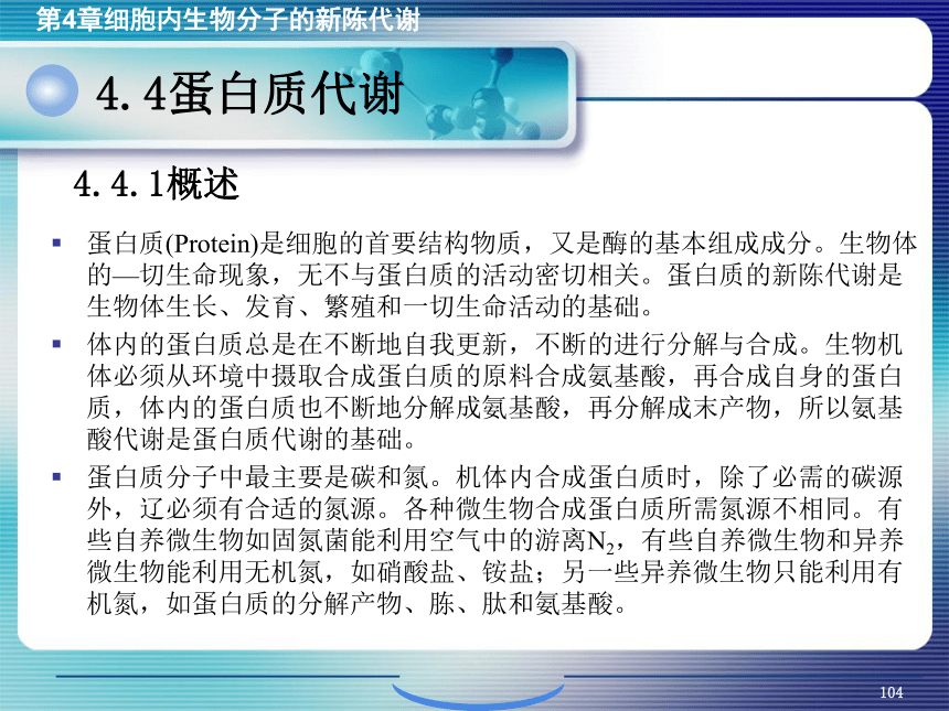 4.细胞内生物分子的新陈代谢_4 课件(共29张PPT）- 《环境生物化学》同步教学（机工版·2020）