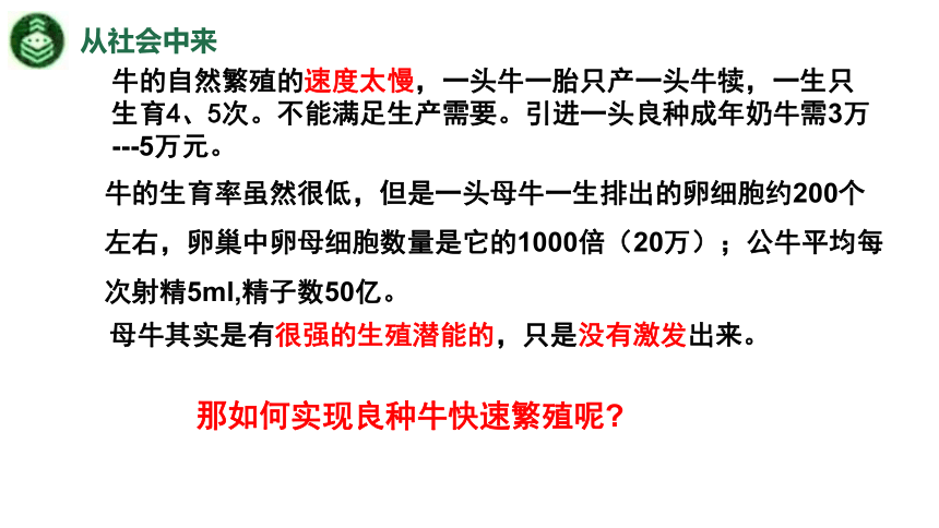 2.3.2胚胎工程技术及其应用 课件（共28张PPT）-2023-2024学年高二下学期生物人教版（2019）选择性必修3