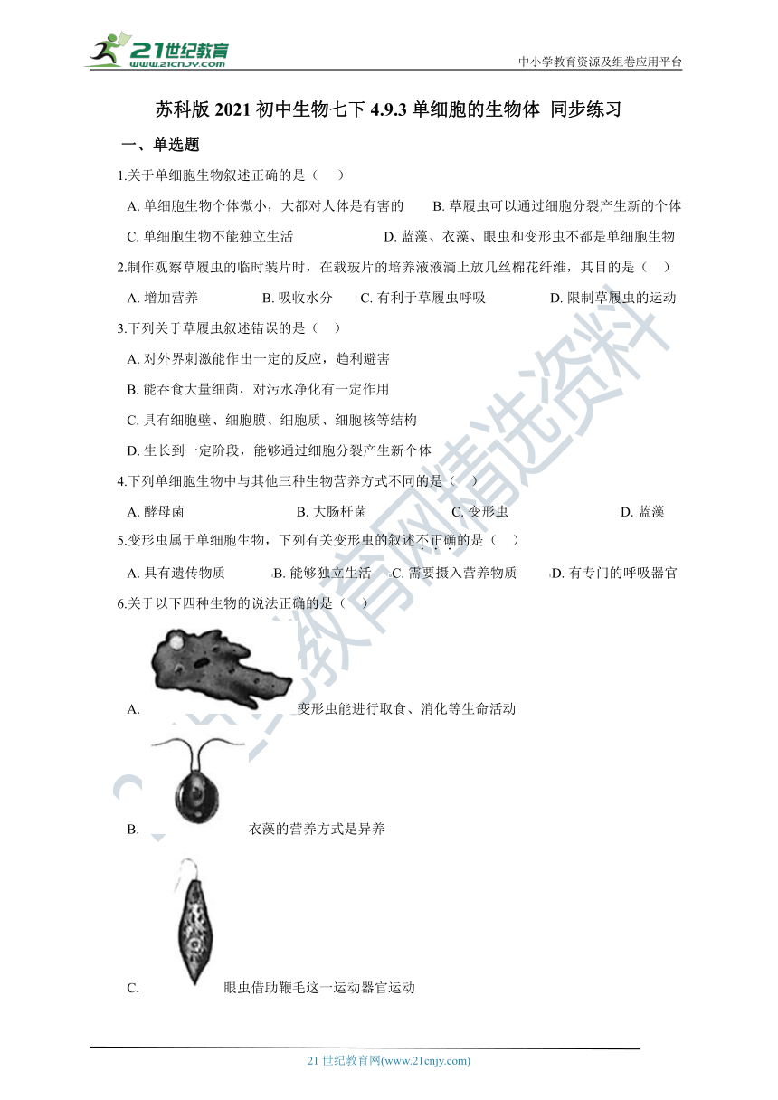 苏科版2021初中生物七下4.9.3单细胞的生物体 同步练习（含解析）