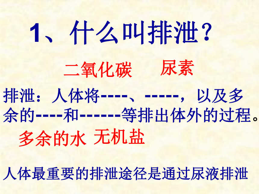 人教版初中生物七年级下册第四单元第五章  人体内废物的排出  课件（37张PPT）