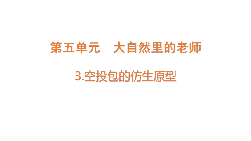 大象版（2017秋）科学五年级下册5.3  空投包的仿生原型  课件(共11张PPT)