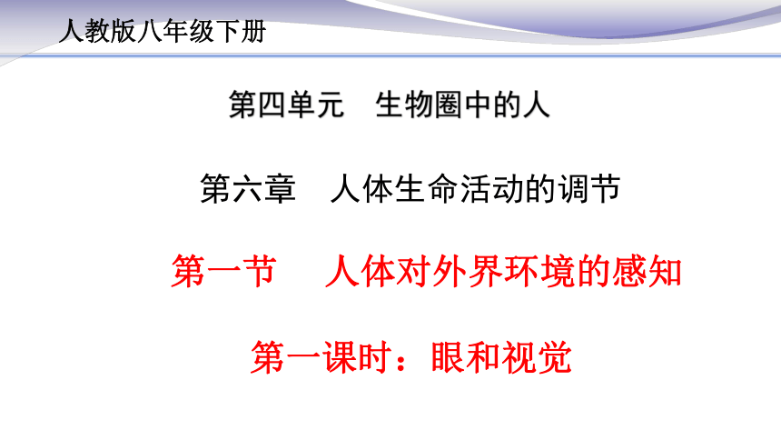 4.6.1 人体对外界环境的感知1 课件（24张PPT） 2020-2021学年人教版七年级生物下册