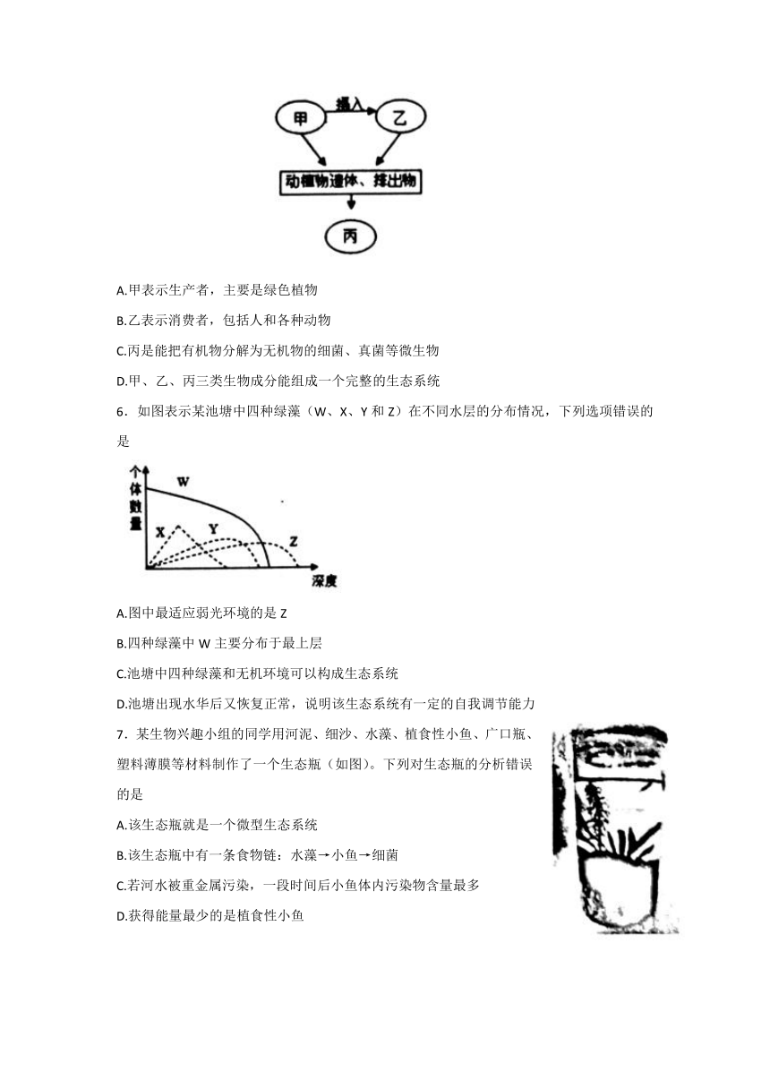 山东省泰安市岱岳区2021-2022学年六年级上学期期末考试生物试题（word版含答案）