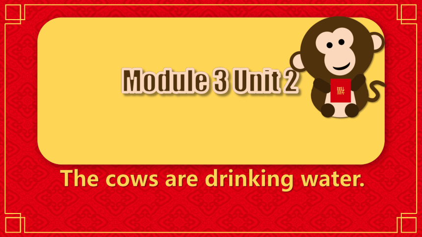 Module 3 Unit 2 The cows are drinking water 课件(共28张PPT)