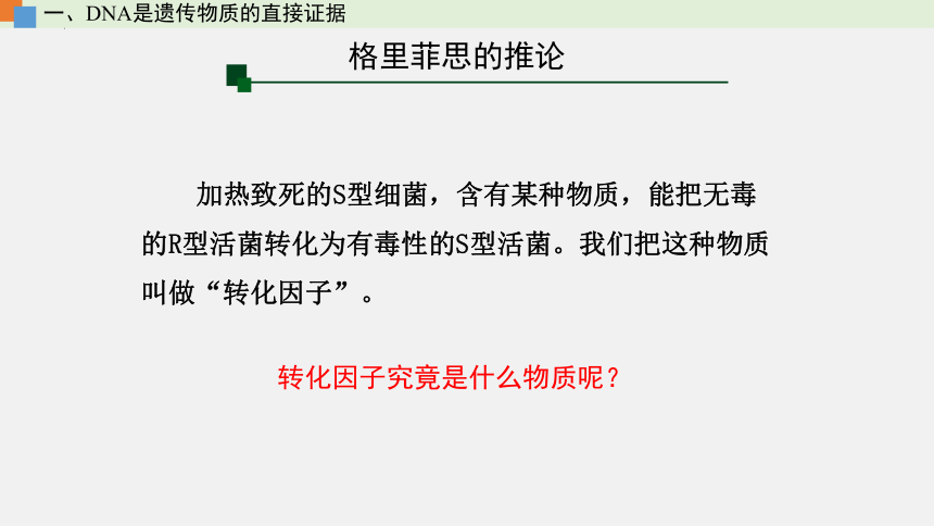 2021-2022学年高一生物浙科版（2019）必修2第三章第一节核酸是遗传物质（课件）（36张ppt）