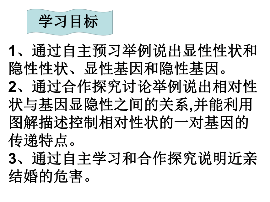 苏教版八年级下册生物 22.2人的性状和遗传 课件（23张PPT）