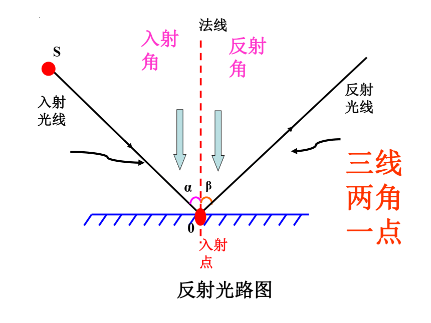 3.5 光的反射 (共37张PPT)2022-2023学年苏科版八年级物理上册