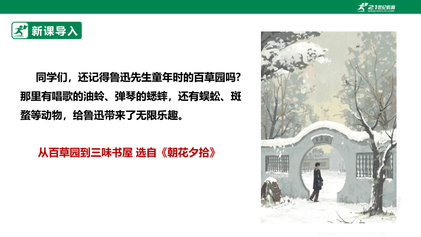 【新课标·备课先锋】第三单元 名著导读《朝花夕拾》消除与经典的隔膜 课件(共45张PPT)