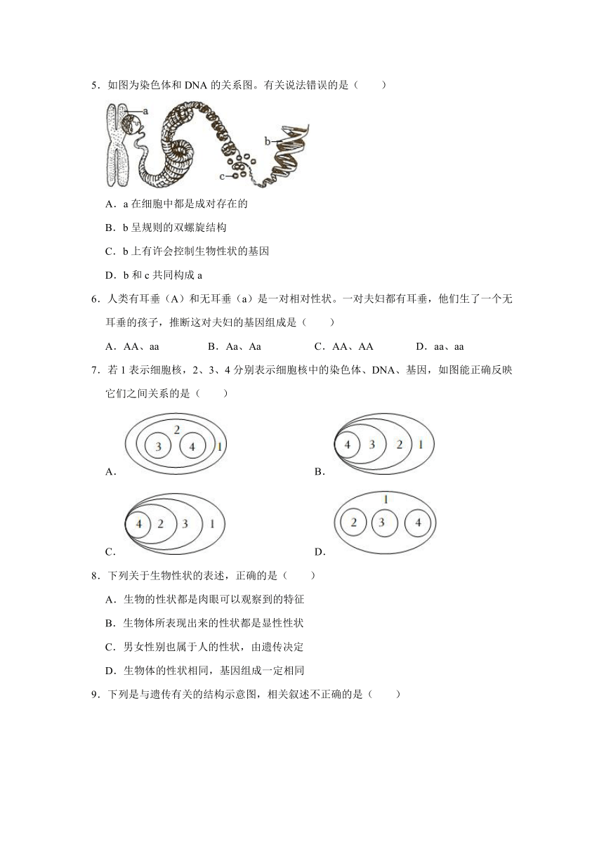 济南版生物八年级上册第4章 生物的遗传与变异 同步练习（word版，含答案）