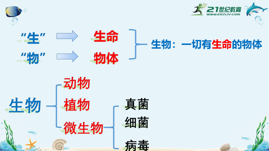 人教版生物七年级上开学第一课＋1.1.1《生物的特征》课件(38张PPT)