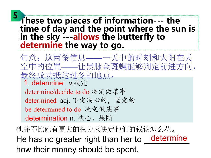 外研版（2019）  必修第一册  Unit 5 Into the Wild Understanding ideas 知识点课件-(23张ppt)