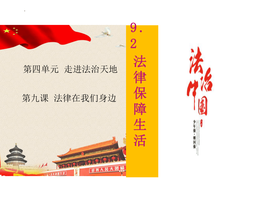 9.2 法律保障生活 课件(共28张PPT)-2023-2024学年统编版道德与法治七年级下册