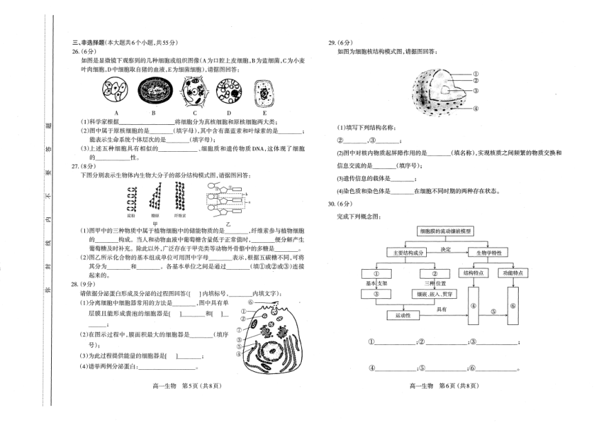 山西省太原市第六十六高级中学2021-2022学年高一上学期期中考试生物试卷（扫描版含答案）