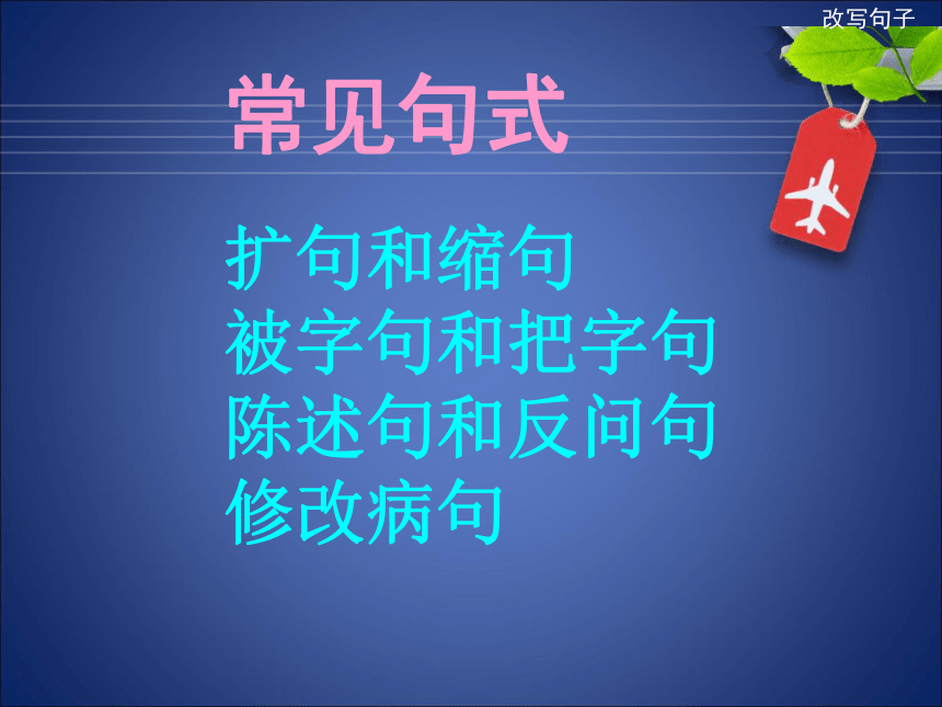 统编版小升初语文总复习专项复习---改写句子  课件（42张）