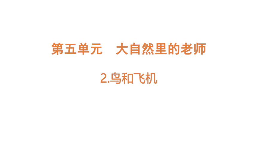 大象版（2017秋）科学五年级下册5.2  鸟和飞机  课件(共11张PPT)