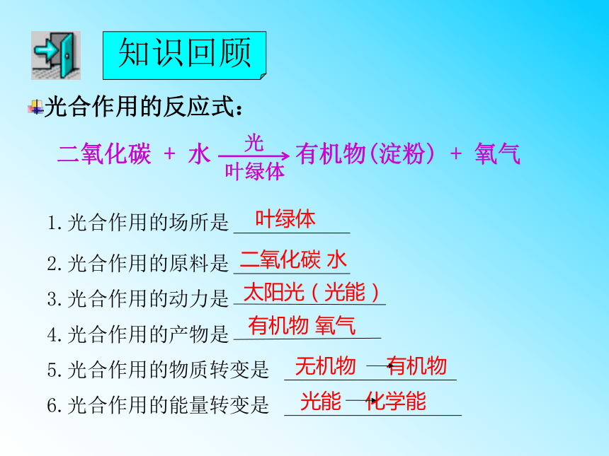 3.5.2呼吸作用课件(共23张PPT)2023--2024学年北师大版生物七年级上册