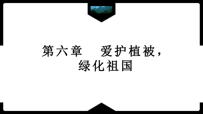 3.6爱护植被，绿化祖国课件(共26张PPT)