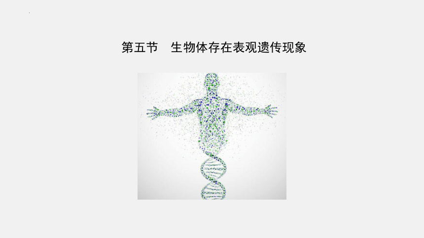 2021-2022学年高一生物浙科版（2019）必修2 第三章第五节生物体存在表观遗传现象（课件）（35张ppt）