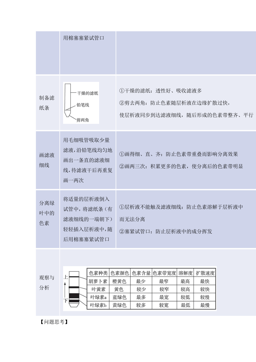 人教版（2019）必修一-《细胞的能量供应和利用》-“光合作用与能量转化”章节重点归纳&典例示范学案（含答案）