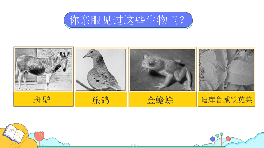 课时1.第三章  保护生物的多样性课件(共39张PPT)