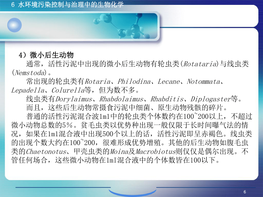 6.1污、废水生物控制与治理生物化学 课件(共38张PPT)- 《环境生物化学》同步教学（机工版·2020）