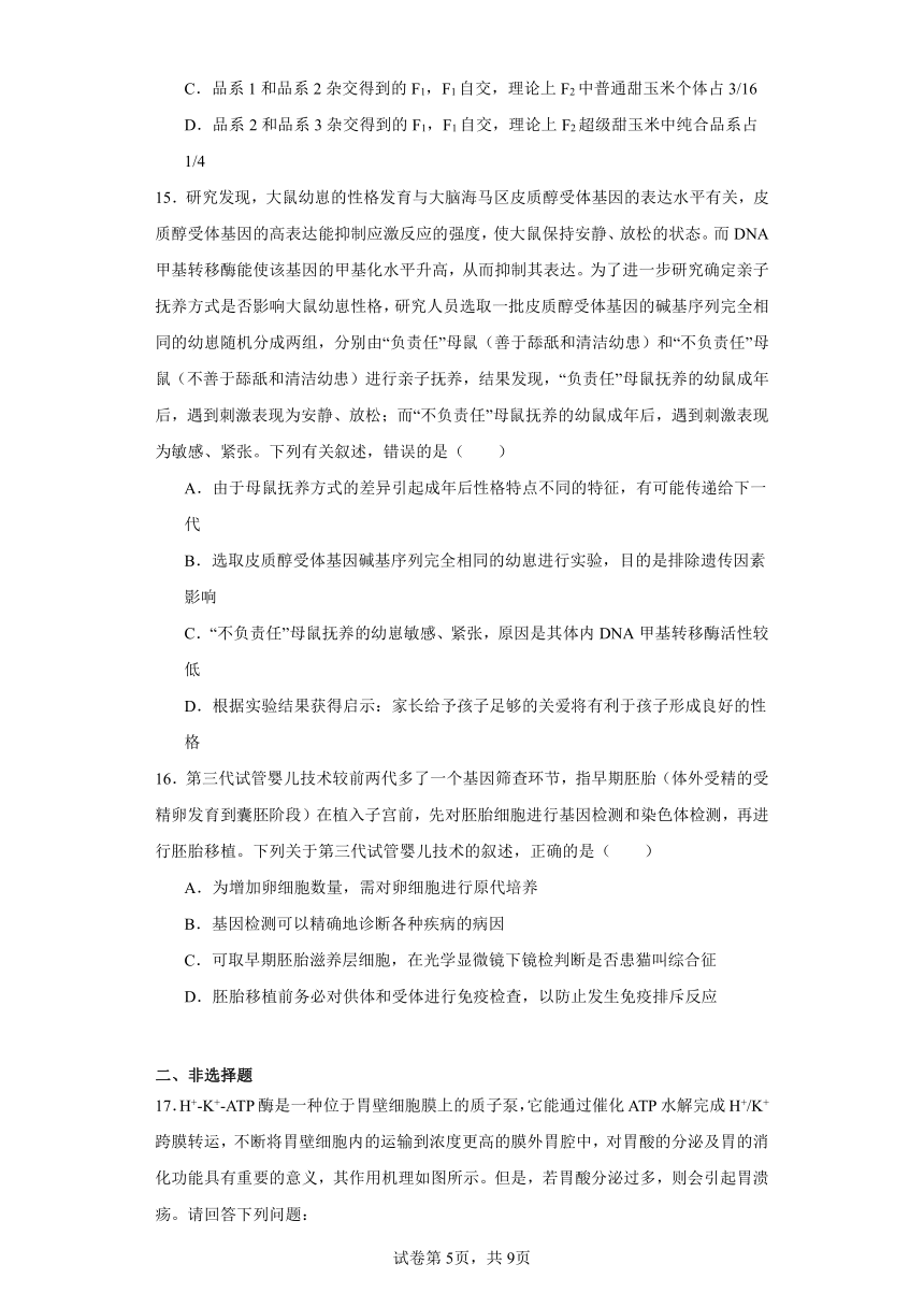 2024届广西柳州市高三下学期第三次模拟考试生物试题（含解析）