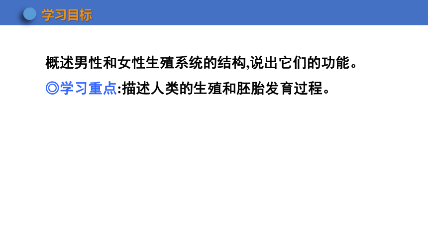 6.1.3 人的生殖和胚胎发育课件(共23张PPT)2023-2024学年初中生物冀少版八年级下册