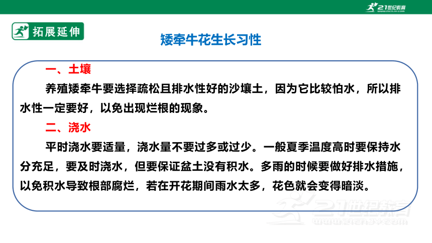 【新课标】浙教版七下项目二任务一《花卉的播种繁殖》课件