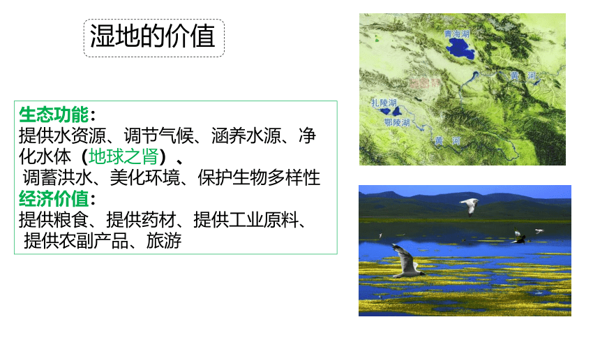 3.2自然保护区与生态安全课件（第2课时，共63张PPT)