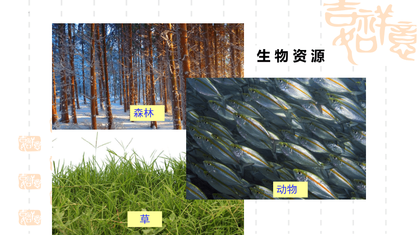 3.1中国的自然资源概况课件（共40张PPT）2022-2023学年湘教版地理八年级上册