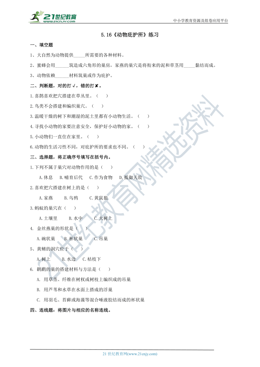 5.16《动物的庇护所》练习（含答案）