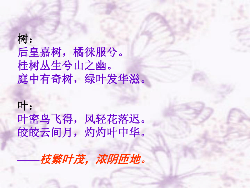 9.《说“木叶”》课件（共47张PPT）2022-2023学年统编版高中语文必修下册