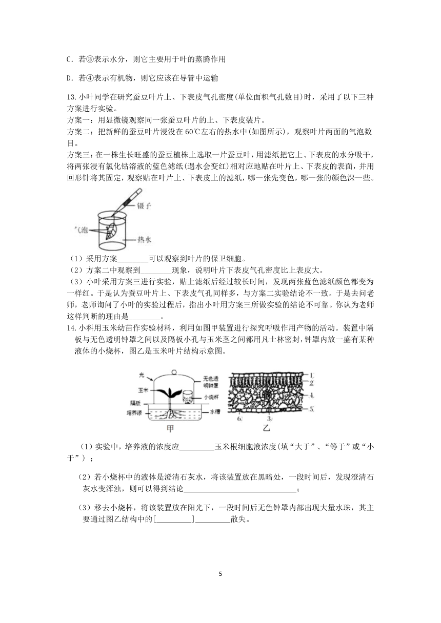 浙教版八年级科学2022-2023学年第二学期期末复习专题训练（一）：植物的蒸腾作用【word，含解析】