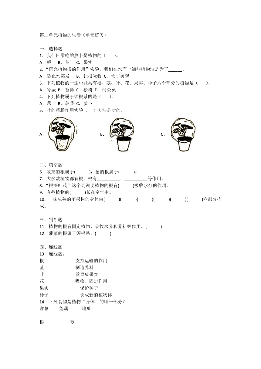 青岛版（2017）三年级上册科学第二单元植物的生活 测试卷（含答案）