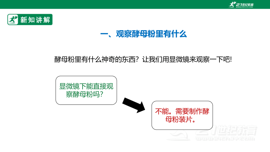 【新课标】1.2《发面的秘密》课件（29张PPT）