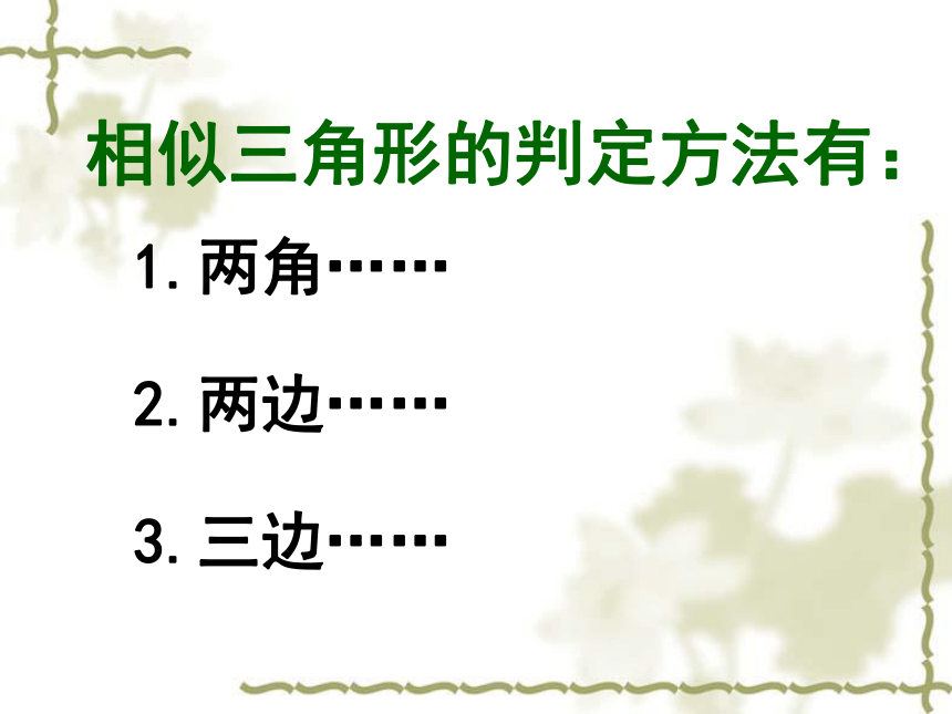 北师大版九年级上册数学 4.5相似三角形判定定理的证明  课件(共19张PPT)