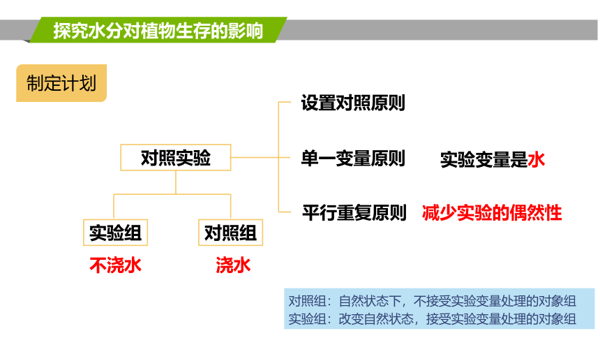 2.2.2  环境影响生物的生存  课件(共22张PPT)2022-2023学年苏科版生物七年级上册