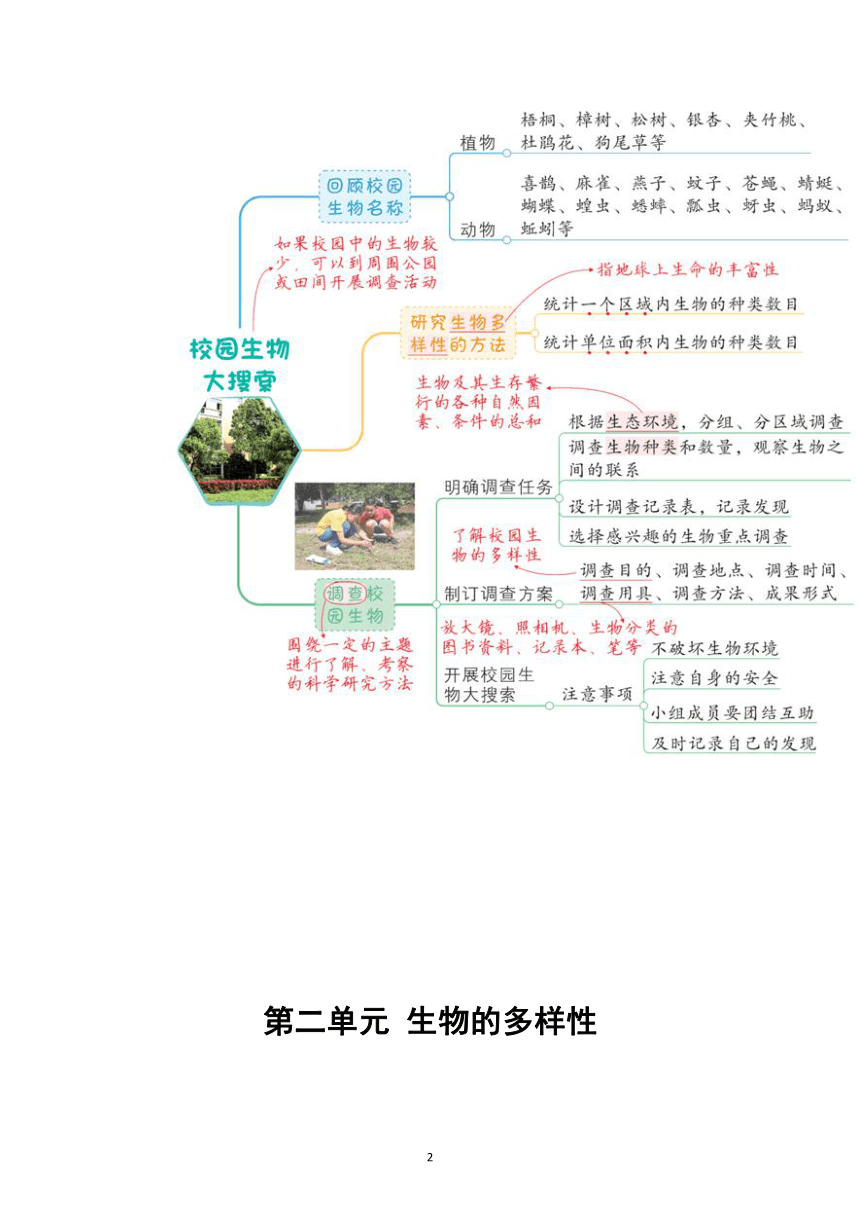 教科版（2017秋）六年级下册科学第二单元《生物的多样性》思维导图（共7课）（素材）