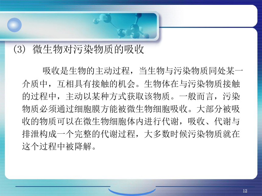 9.污染环境微生物修复的生物化学原理 课件(共44张PPT)- 《环境生物化学》同步教学（机工版·2020）