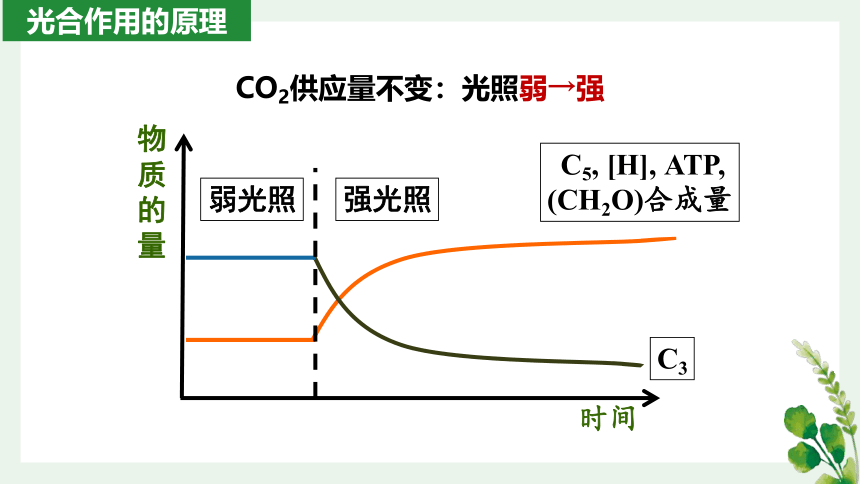 5.4光合作用与能量转化 第三课时（加强课）课件(共27张PPT)2022-2023学年高一上学期生物人教版（2019）必修1