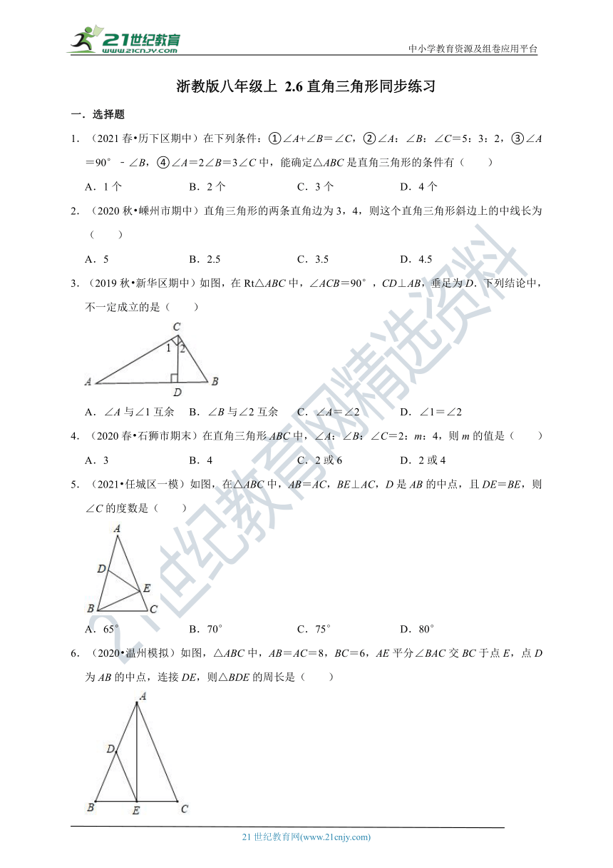 2.6 直角三角形同步练习（含解析）