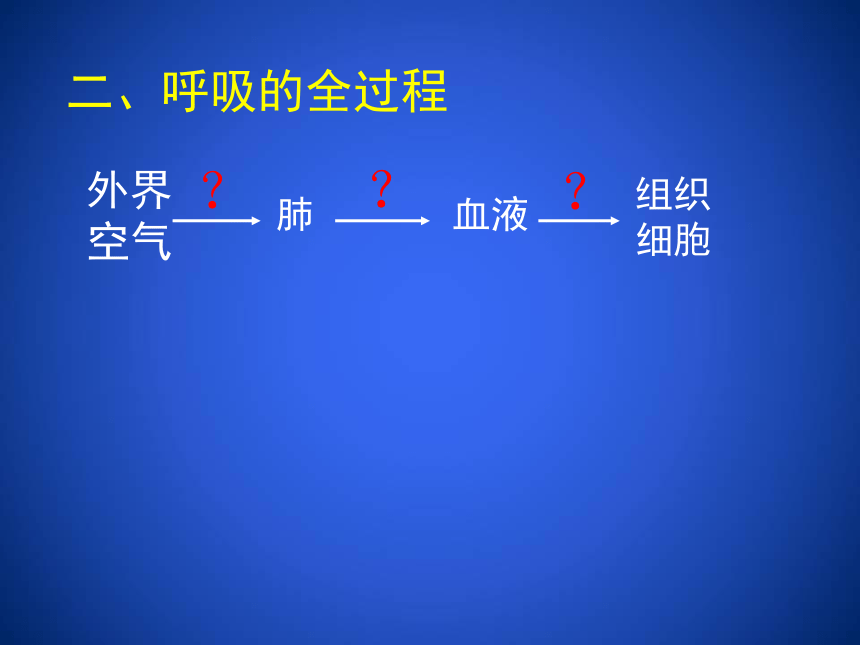 2020--2021学年北师大版生物七年级下册4.10.2. 人体细胞获取氧气的过程课件（第3课时）（39张ppt）