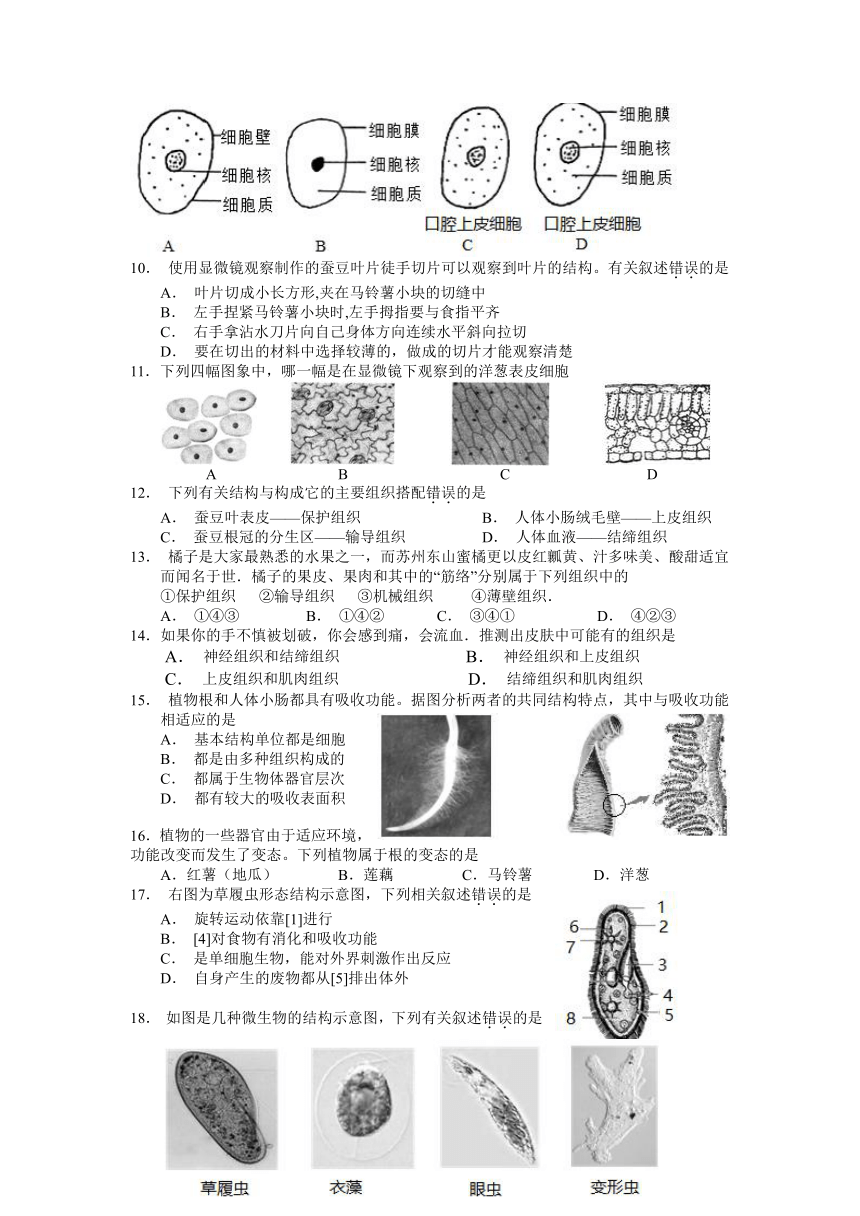 江苏省徐州市贾汪区2022-2023学年七年级下学期期中抽测生物试题（无答案）