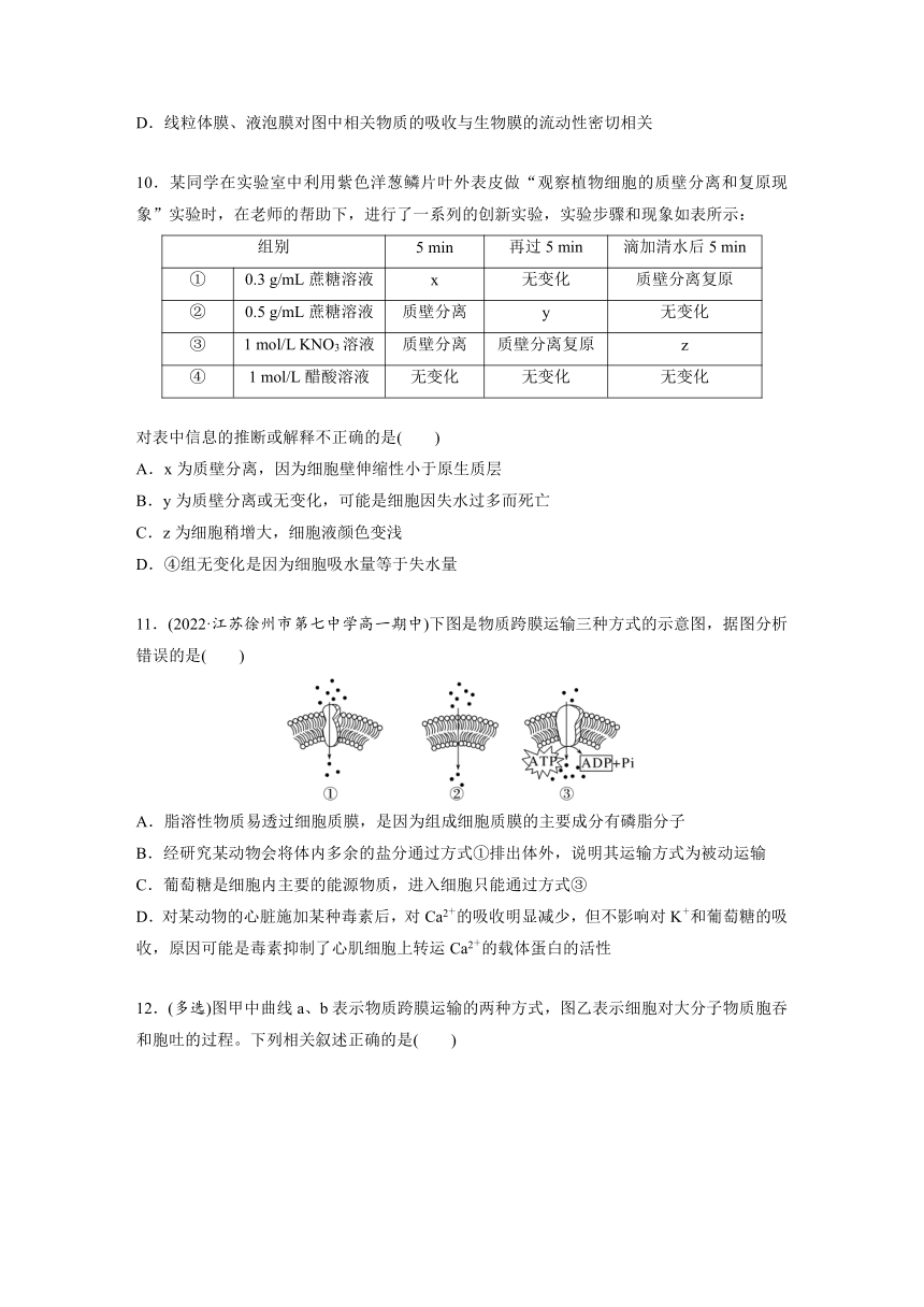 2022-2023学年苏教版2019高中生物必修1 第二章　细胞的结构和生命活动  重点突破练(二)（word版含解析）