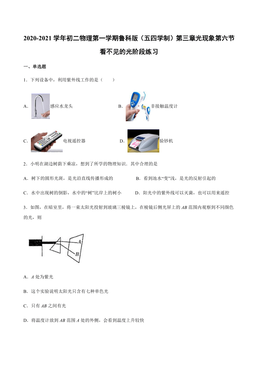 2020-2021学年八年级上册鲁科版（五四学制）第三章光现象第六节看不见的光阶段练习(word版 带答案)