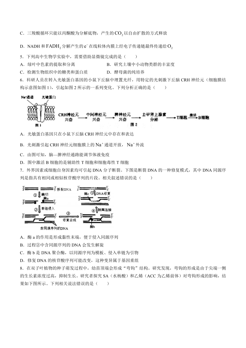 2023届天津市南开区高三下学期3月质量监测（一）生物学试题（Word版含答案）