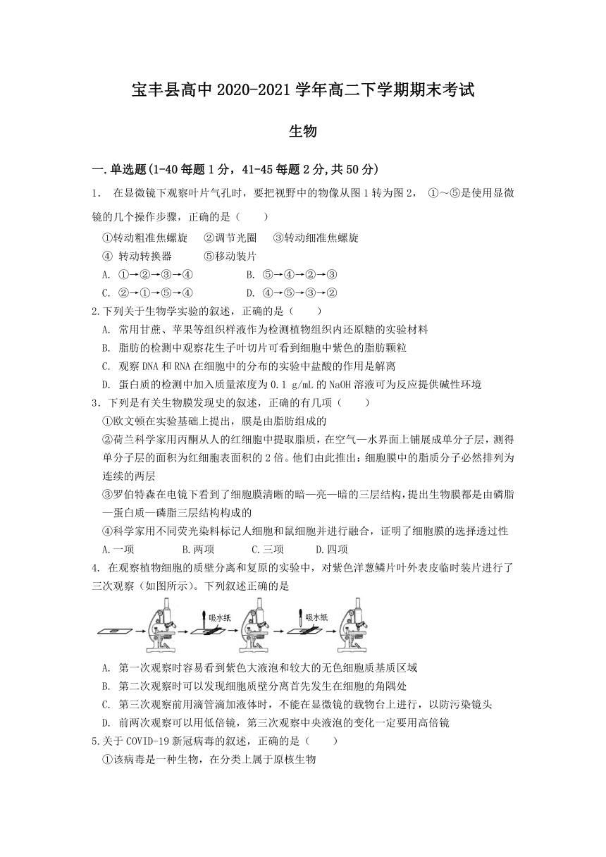 河南省宝丰县高中2020-2021学年高二下学期期末考试生物试题 Word版含答案