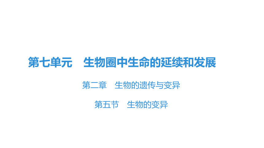 7.2.5 生物的变异 课件(共29张PPT)2023年春人教版八年级生物下册