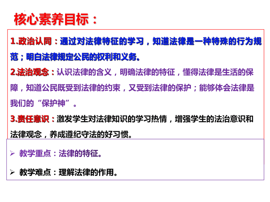 【核心素养目标】9.2 法律保障生活 课件(共25张PPT)- 2023-2024学年统编版道德与法治七年级下册